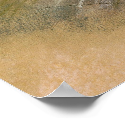 Edgar Degas - De Ster 1878 Poster (Hoek)