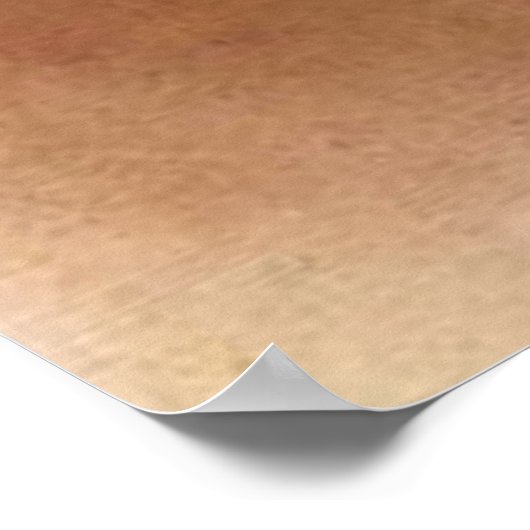 Edgar Degas De ster Poster (Hoek)