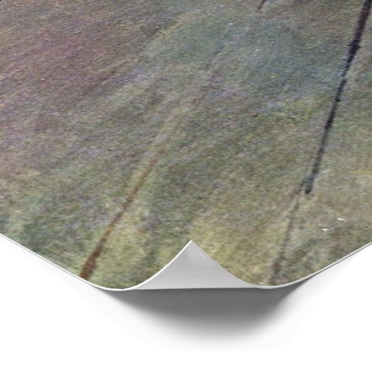 Edgar Degas - De ster van het ballet Poster (Hoek)