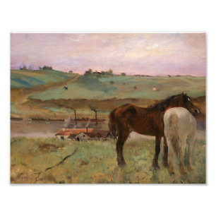 Edgar Degas - Paarden in een weide Foto Afdruk