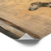 Edgar Degas | Place de la Concorde, 1875 Poster (Hoek)