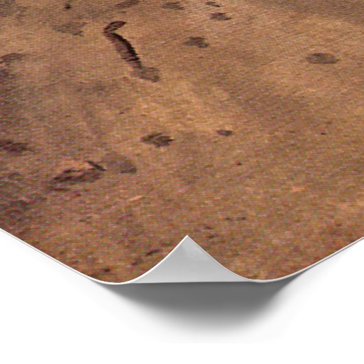 Edgar Degas Portrait of Estelle Musson de Gas Poster (Hoek)