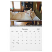 Edgar, Obi en Adara 2015 Cat Calendar Kalender (Feb 2027)