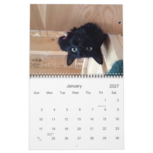 Edgar, Obi en Adara 2015 Cat Calendar Kalender (Jan 2027)
