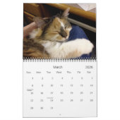 Edgar, Obi en Adara 2015 Cat Calendar Kalender (Mar 2026)