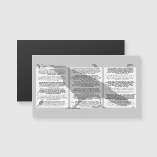 Edgar Poe de Raven (Voorkant / Achterkant)