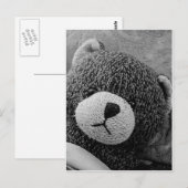 Edgar Shadows Sweet Teddy! Briefkaart (Voorkant / Achterkant)