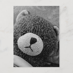 Edgar Shadows Sweet Teddy! Briefkaart