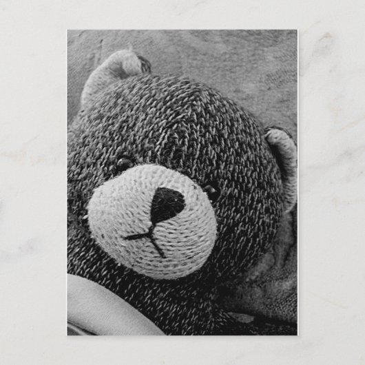 Edgar Shadows Sweet Teddy! Briefkaart (Voorkant)