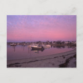 Edgartown-haven bij Dawn Marthas Vineyard Briefkaart (Voorkant)