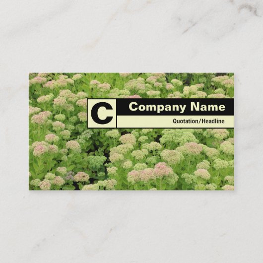 Edge gelabeld monogram - Sedum (herfst Joy) Visitekaartje (Voorkant)