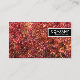 Edge-Label - Autumn Leaves Visitekaartje
