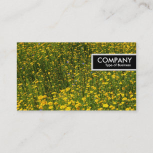 Edge-Label - Bed of Yellow Daisies Visitekaartje