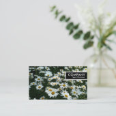 Edge-Label - Daisies Visitekaartje (Staand voorkant)
