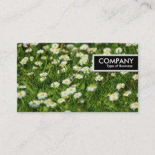 Edge-Label - Daisy Meadow Visitekaartje