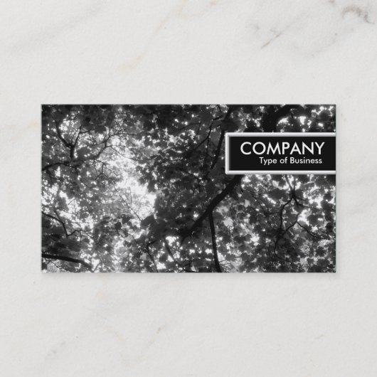 Edge-Label - in de bomen Visitekaartje (Voorkant)