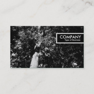 Edge Label - Londen Plane Tree B&W