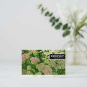 Edge-Label - Sedum "Autumn Joy" Visitekaartje (Staand voorkant)