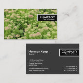 Edge Label - Sedum (Herfstvreugde) (Voorkant / Achterkant)