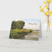 Edge of the Bay - Denken aan je Kaart (Gele Bloem)