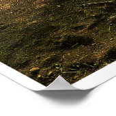 Edge of the Sunlit Coast Poster (Hoek)