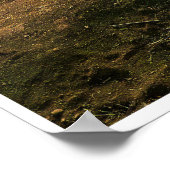 Edge of the Sunlit Coast Poster (Hoek)