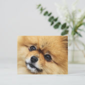 Edgrr #1 briefkaart (Staand voorkant)