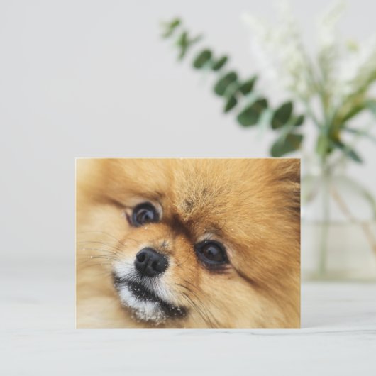 Edgrr #1 briefkaart (Staand voorkant)