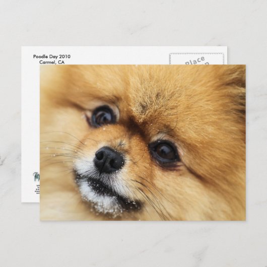 Edgrr #1 briefkaart (Voorkant / Achterkant)