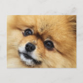 Edgrr #1 briefkaart (Voorkant)