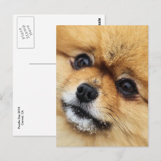 Edgrr #1 briefkaart (Voorkant / Achterkant)