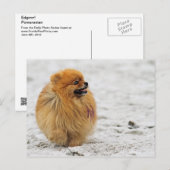 Edgrr #3 - Pommeren Briefkaart (Voorkant / Achterkant)