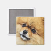 Edgrrrr #1 magneet (Voorkant / Achterkant)