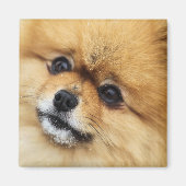 Edgrrrr #1 magneet (Voorkant)