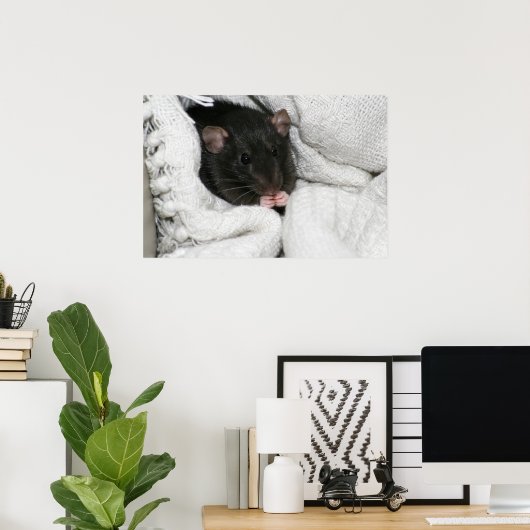 Edgworth The Rat Poster (Thuiskantoor)