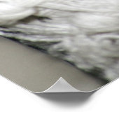 Edgworth The Rat Poster (Hoek)