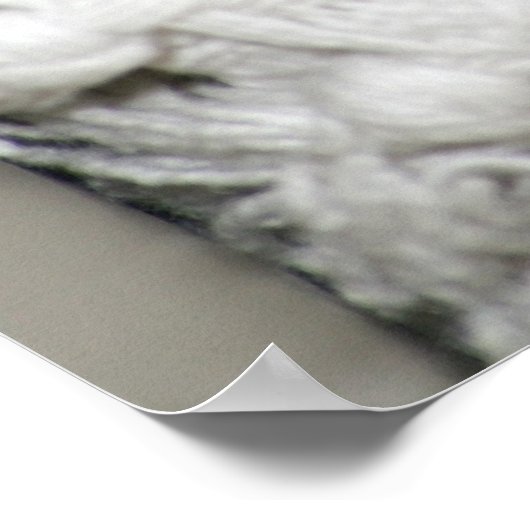 Edgworth The Rat Poster (Hoek)