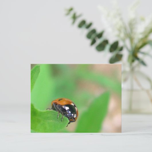 Edgy - Ladybug op de rand van het blad Briefkaart (Staand voorkant)