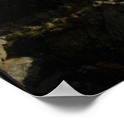 Edinburgh Castle Poster (Hoek)