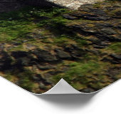 edinburgh castle poster (Hoek)