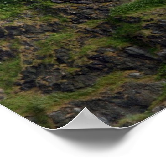 edinburgh castle scotland poster (Hoek)