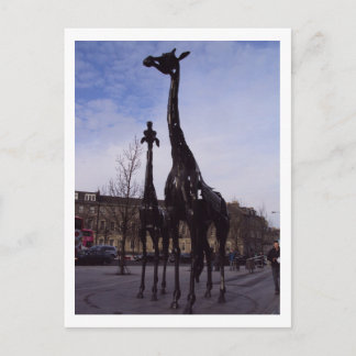 Edinburgh Giraffe Briefkaart