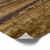 Edinburgh Pentland Hill Uitzicht Poster (Hoek)