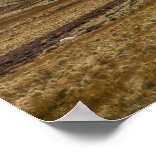 Edinburgh Pentland Hill Uitzicht Poster (Hoek)