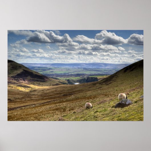 Edinburgh Pentland Hill Uitzicht Poster (Voorkant)