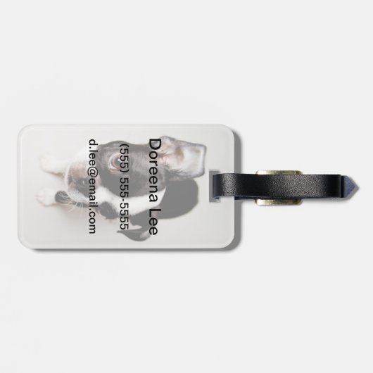 Edison Boston Terrier puppy. Bagagelabel (Achterkant horizontaal)