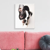 Edison Boston Terrier puppy. Canvas Afdruk (Insitu (Woonkamer))