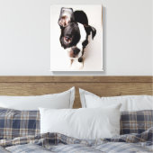 Edison Boston Terrier puppy. Canvas Afdruk (Insitu (Slaapkamer))