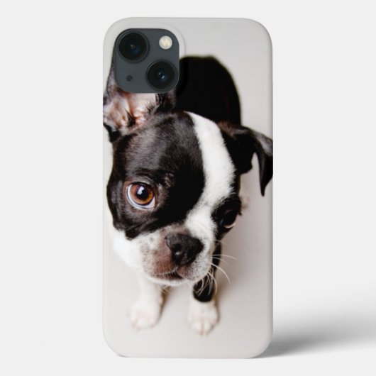 Edison Boston Terrier puppy. Case-Mate iPhone Case (Achterkant)