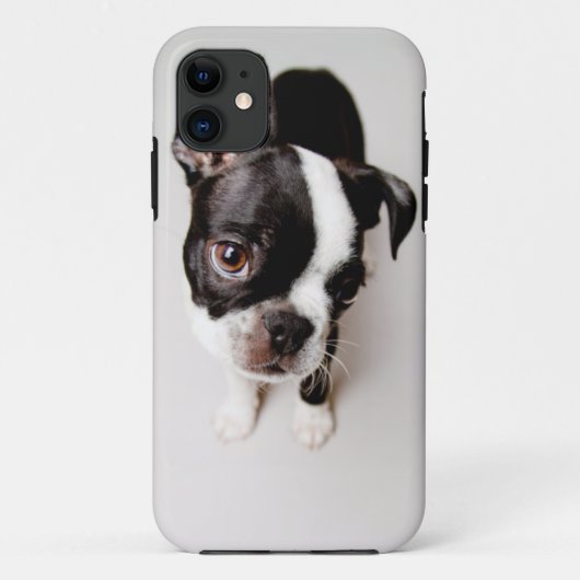 Edison Boston Terrier puppy. Case-Mate iPhone Case (Achterkant)
